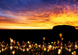 Fields of light